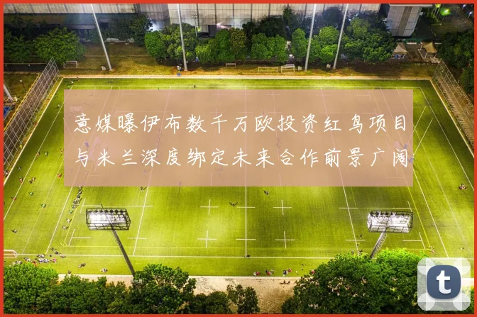 意媒曝伊布数千万欧投资红鸟项目与米兰深度绑定未来合作前景广阔
